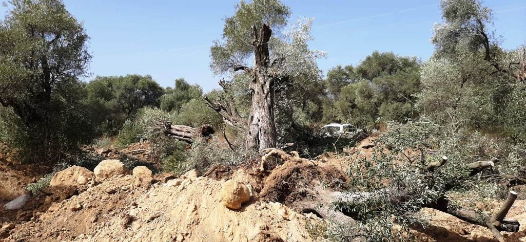 Yatağan Termik Enerji A.Ş'den Bodrum Belediyesi'ne asırlık hediye